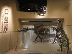 -国家自然博物馆