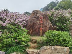 -广州市石门国家森林公园
