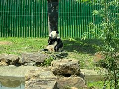 -沈阳森林动物园