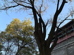 -西安城墙·碑林历史文化景区