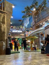 -卡通尼·Safari非洲探索乐园·生日会(金桥国际商业广场店)