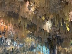 -丽华园(汉阳龙阳店)