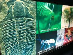 -上海昆虫博物馆