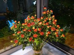 -默迹咖啡馆