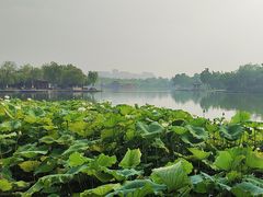 -济南大明湖景区