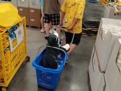 -宜家家居(哈尔滨商场店)