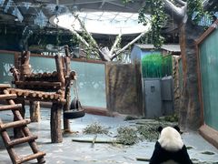-青藏高原野生动物园