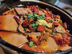 -唐力九头鸟烧烤·罗田吊锅(西云楼店)