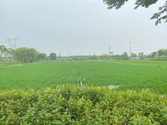 -嘉北郊野公园