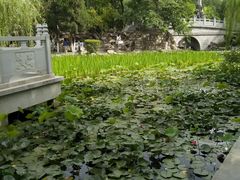 -莲湖公园