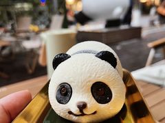 -轩客会(熊猫书店)