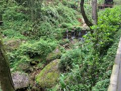 -青城山