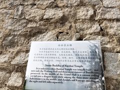 -白水寺森林公园