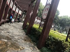 -昆山城市生态森林公园