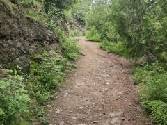 -磬锤峰森林公园