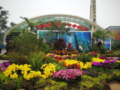 -南山植物园