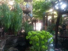 -四方小吃·白族庭院餐厅