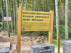 -龙坞茶村