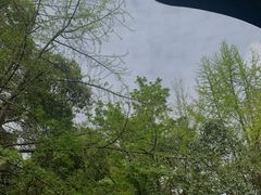 -成都市活水公园