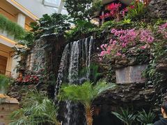 -广州白天鹅宾馆