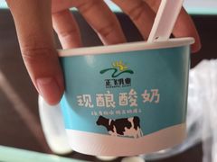 -正飞鲜奶(南湖一期店)