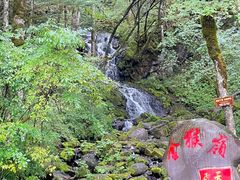 -神农架景区