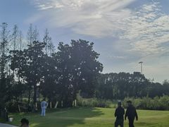 -银涛高尔夫练习场(徐泾店)