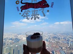 -上海中心大厦