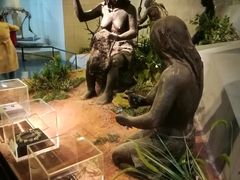 -北京周口店北京人遗址博物馆