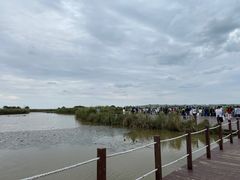 -盐城丹顶鹤湿地生态旅游区