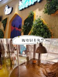 -七巧国萌宠乐园(龙湖天街店)