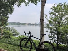 -东莞植物园