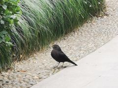 -杭州城北体育公园