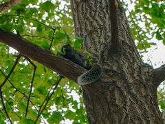 -成都市活水公园