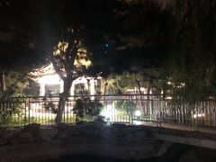 -黄村公园