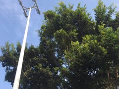 -石湾服务区-停车场