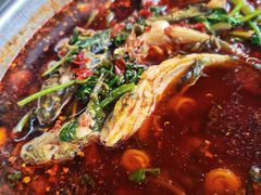 黄辣丁-彭大姐老店黄辣丁(新津店)