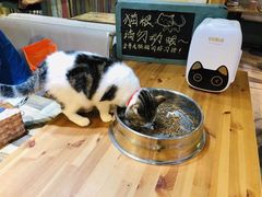 -小时光咖啡馆(开森度假森林店)