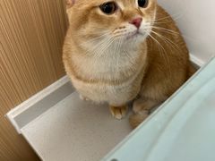 -瑞派·关忠动物医院·猫专科·犬专科(三环新城店)