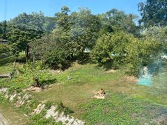 -深圳野生动物园