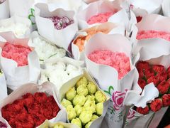 -溪岸路花鸟市场