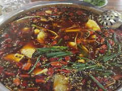 -乡土特色.冷锅鱼.牦牛肉汤锅