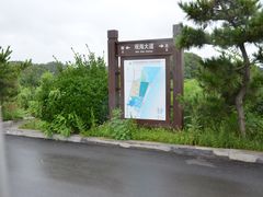 -日照海滨国家森林公园