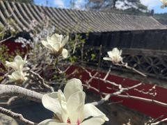 -潭柘寺景区