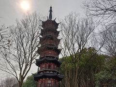 -上海佘山国家森林公园西佘山园