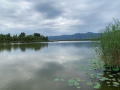 -野鸭湖国家湿地公园