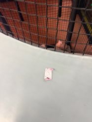 -孩子王童乐园(天津远洋乐堤港店)