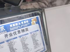 -绒爪撸猫下午茶·猫咖