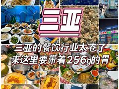 -椰梦长廊