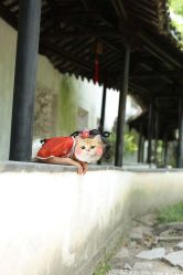 -一揽芳华汉服旗袍体验馆(拙政园店)